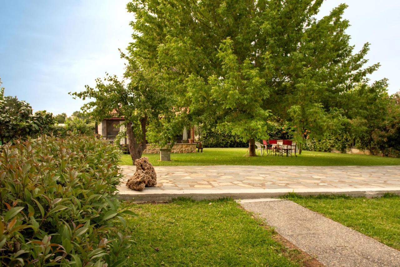 Apartmán Άελλα Ierissós Exteriér fotografie